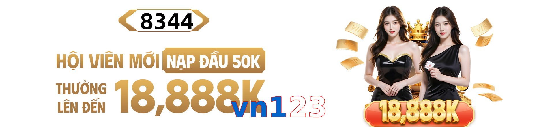 vn123