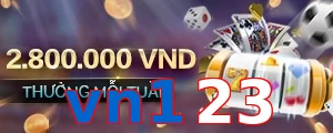 vn123