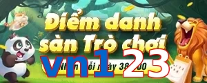 vn123