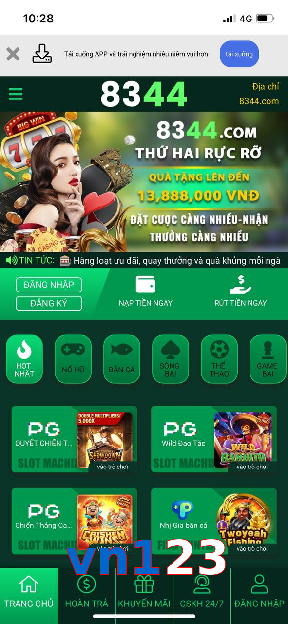 vn123