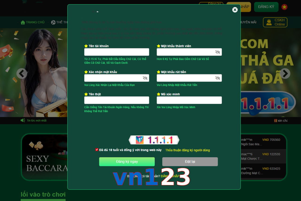 vn123